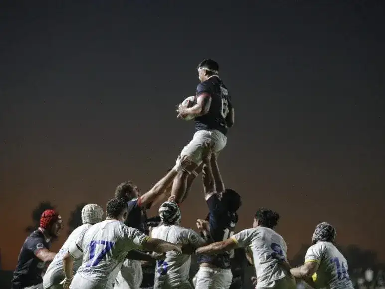 Capibaras XV-Cobras