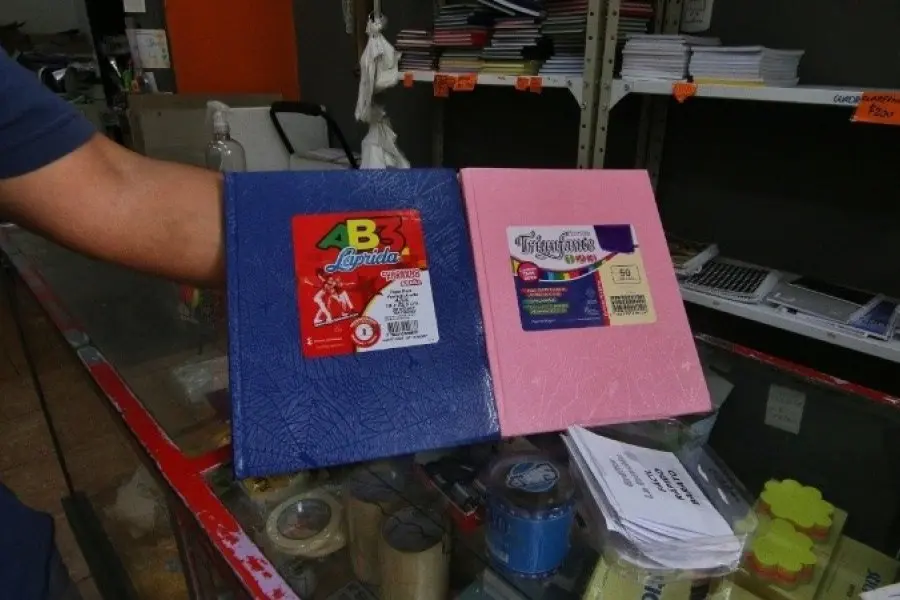 Polémica en un colegio rosarino que pidió cuadernos celestes para nenes y rosas para nenas para el comienzo de clases