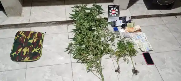 Drogas, armas y efectivo: cayeron tres personas por microtráfico tras allanamientos de la PDI