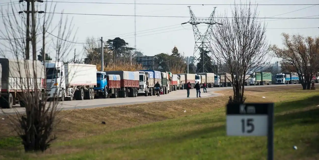 Larga fila de camiones en tiempo de cosecha. Una postal que se repite todos los años. Foto: Marcelo Manera.