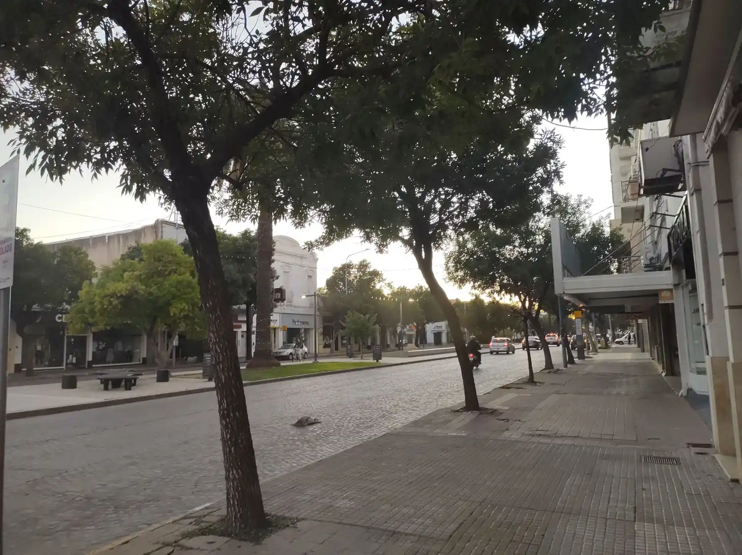 Frío inicio de semana en Rafaela: amaneció despejado y con baja sensación térmica