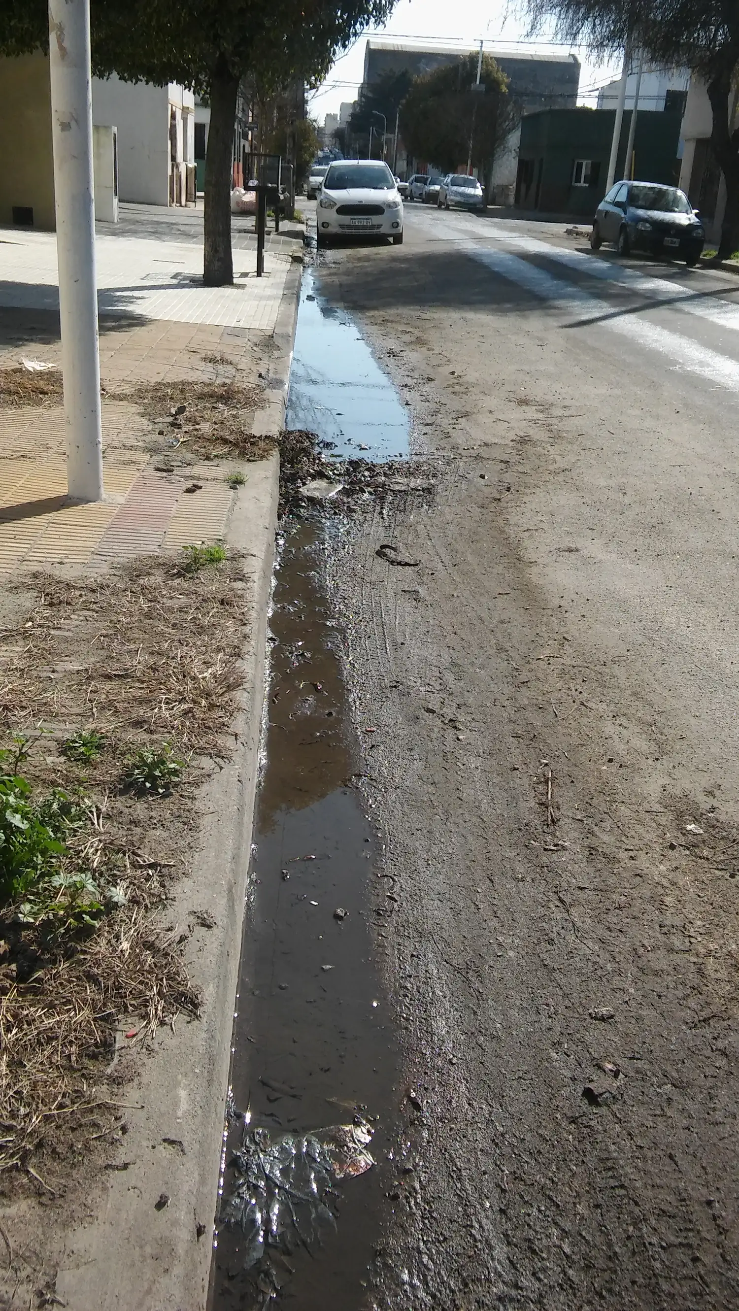 Estado de la calle Alem, entre Constitución y Avellaneda 