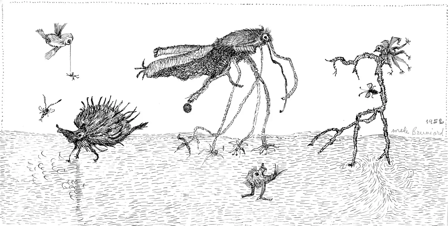 Exposición de Mele Bruniard en el MMAV