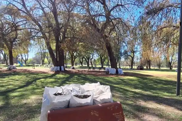 Tareas de corte y desmalezado en distintos espacios públicos