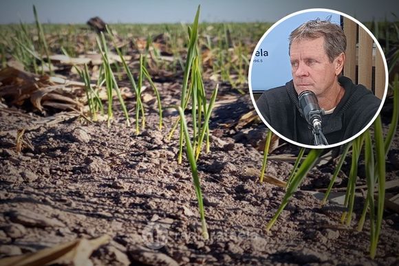 Los primeros síntomas de déficit hídrico: "Está totalmente paralizada la siembra de trigo"