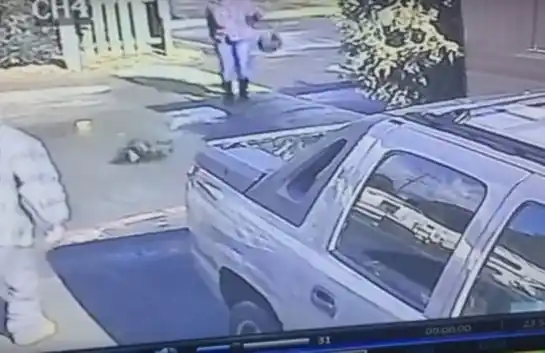 Una mujer enfrenta cargos por maltrato animal después que se viralizó un video