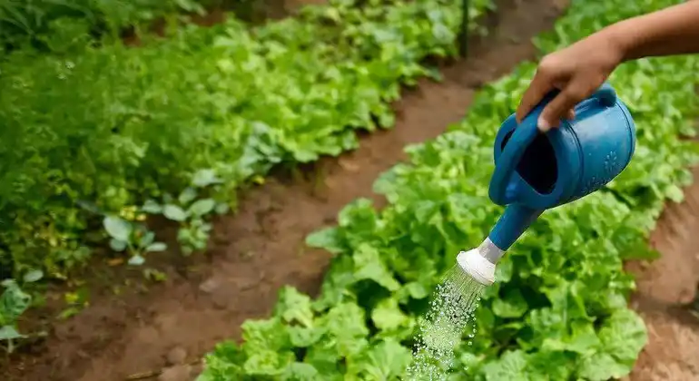 Biodiversidad de los suelos para el futuro