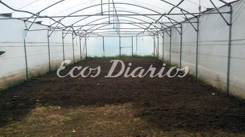 Energías limpias, huertas y fertilización de la tierra