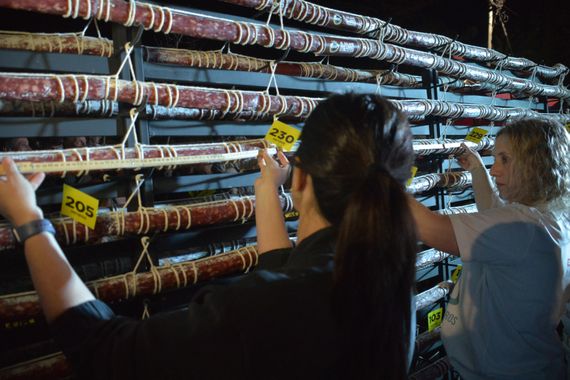 Tandil recuperó el récord del salame más largo del mundo