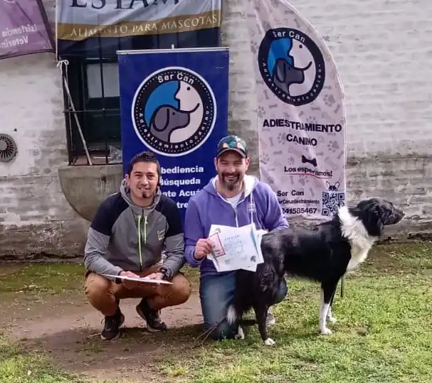 Entrega de premios y certificados: Gran participación de Chascomús en la competencia online de adiestramiento canino