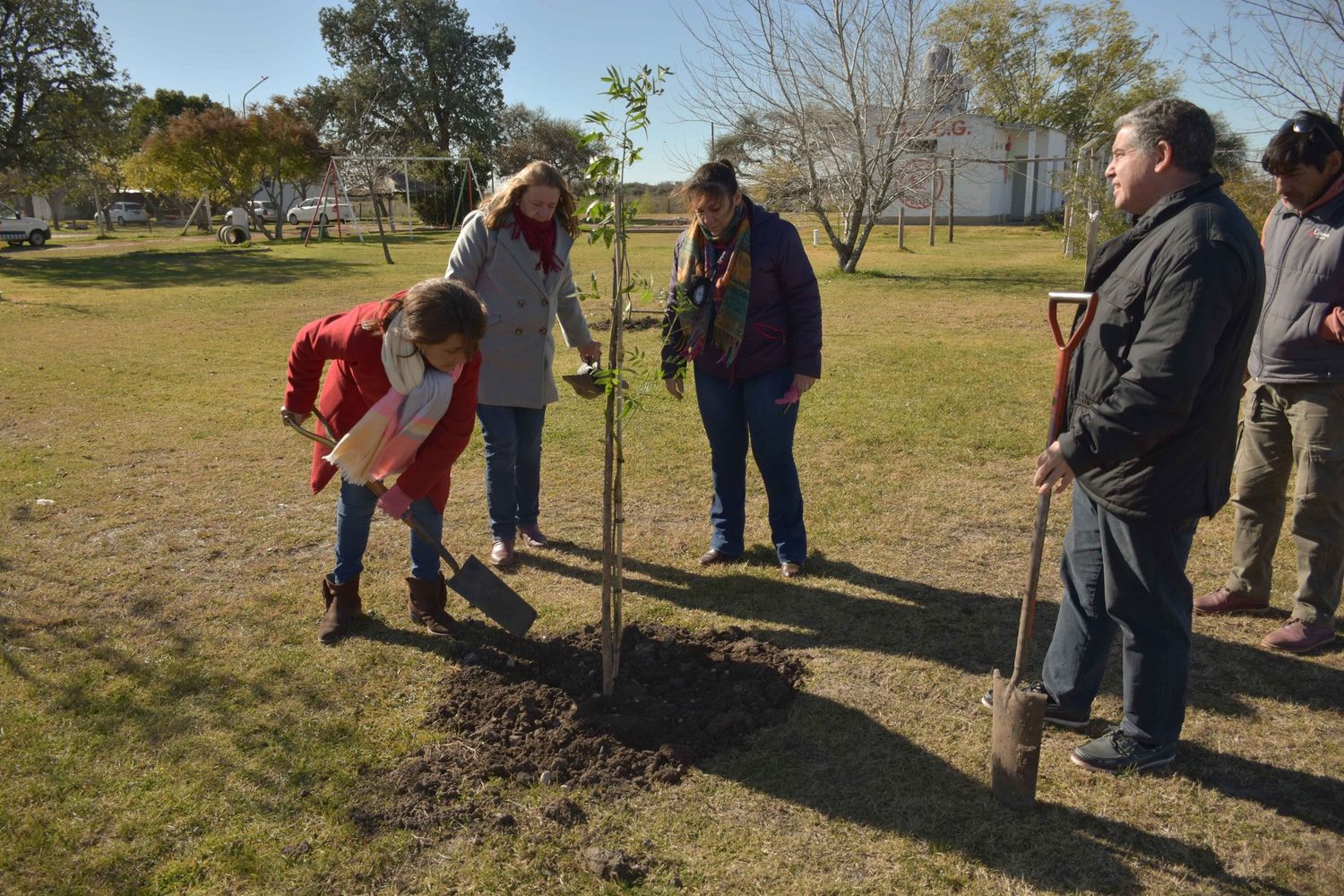 Llevan adelante el Programa “Un Árbol para Tu Club o Institución”