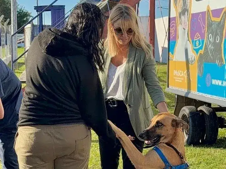 La vacunación para perros y gatos será por orden de llegada. Foto: MVT