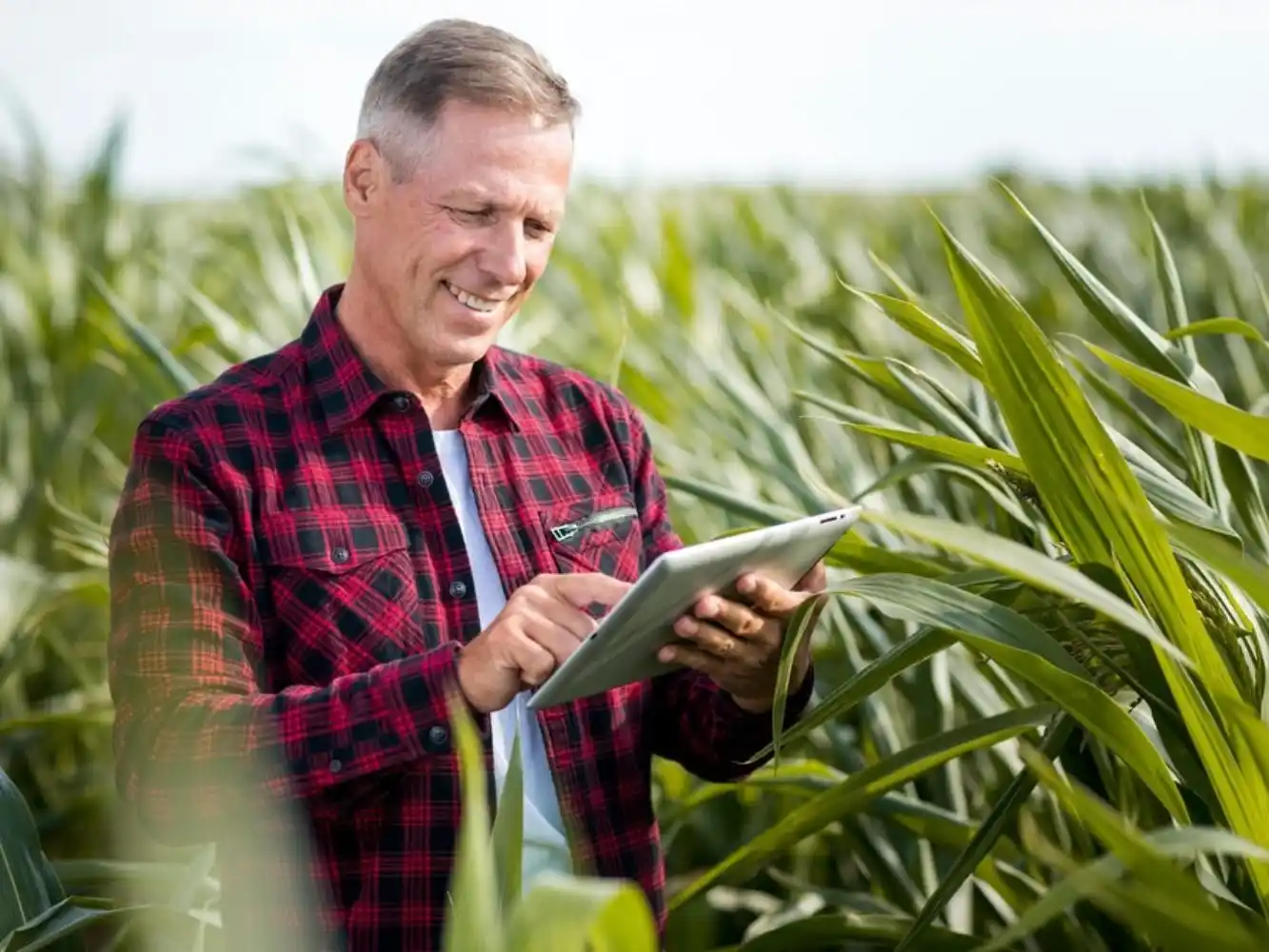 Esta iniciativa reafirma el propósito de la entidad