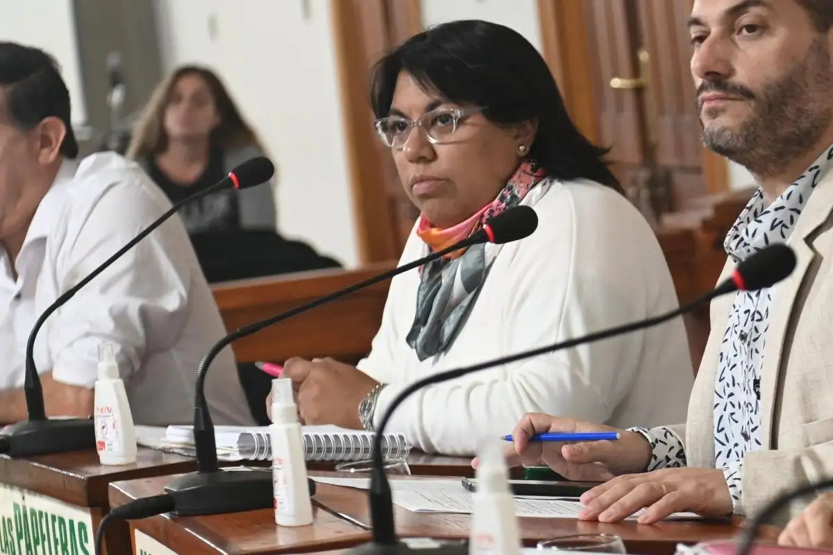 Micaela Rodríguez: "Muchas personas nos dicen 'todavía vamos a resistir y seguir acompañando este proceso de cambio'"