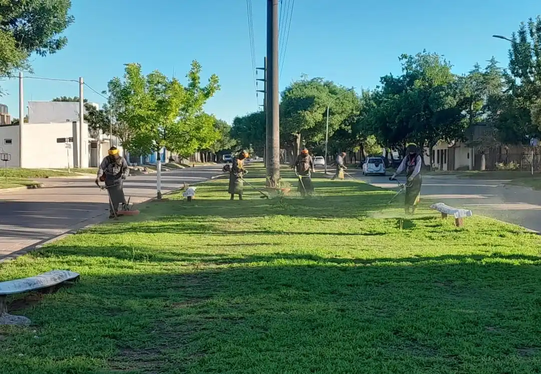 Se realizan tareas de desmalezado en distintos sectores de la ciudad