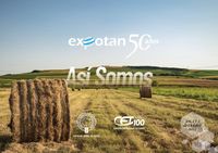 Cámara Empresaria y Expotan 2022:  aniversarios y descuentos para socios