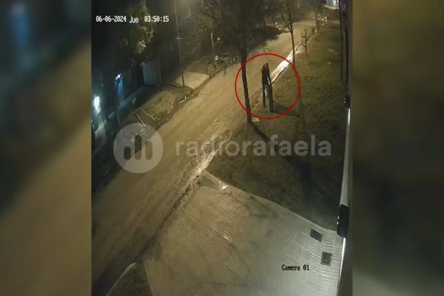 Increíbles imágenes: sacó la basura de un canasto para vaciarla en la casa del frente