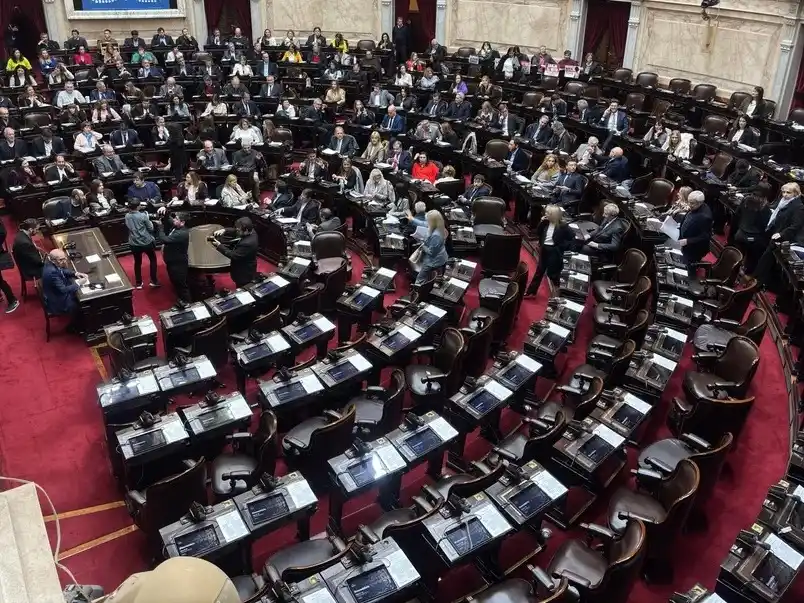Diputados rechazó el veto a la Ley de Emergencia en Discapacidad