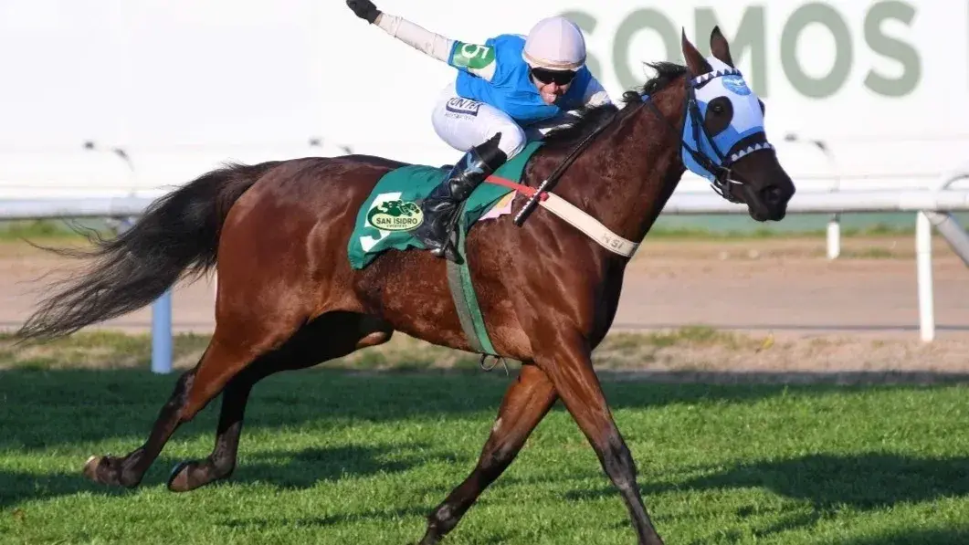 Forever Rim es la principal candidata en el Handicap Jerry Honor, en San Isidro.