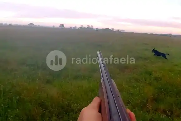 Un “youtuber” de la región terminó aprehendido por cazar en un campo ajeno