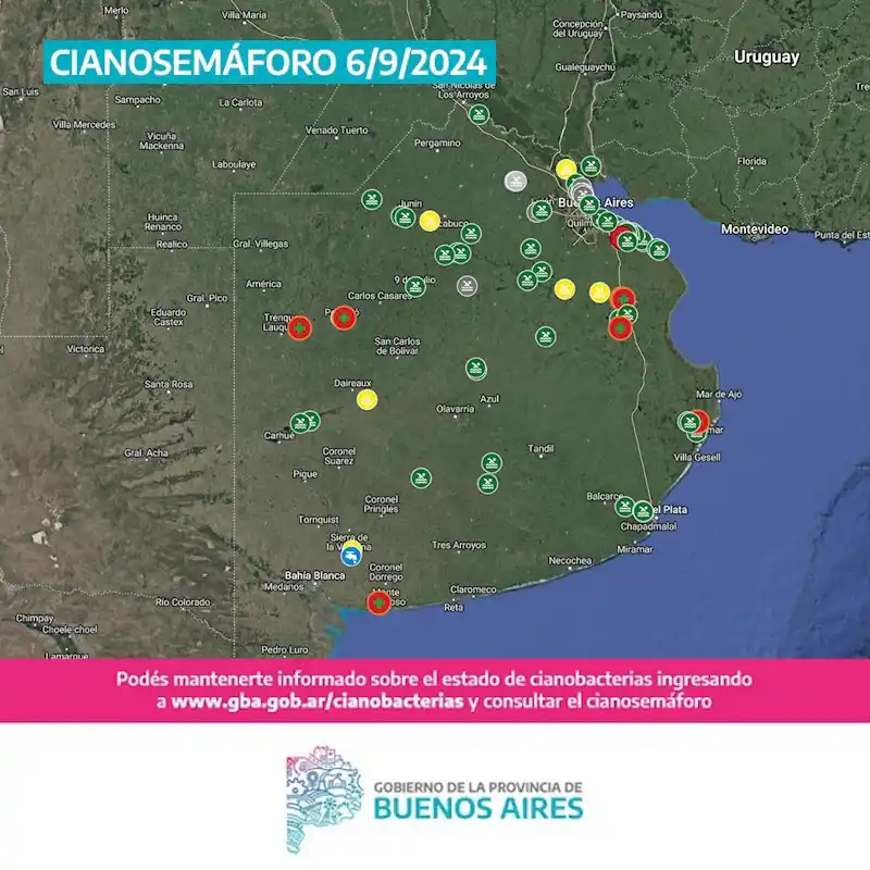 Cianosemáforo: Seis municipios bonaerenses con alerta naranja por cianobacterias
