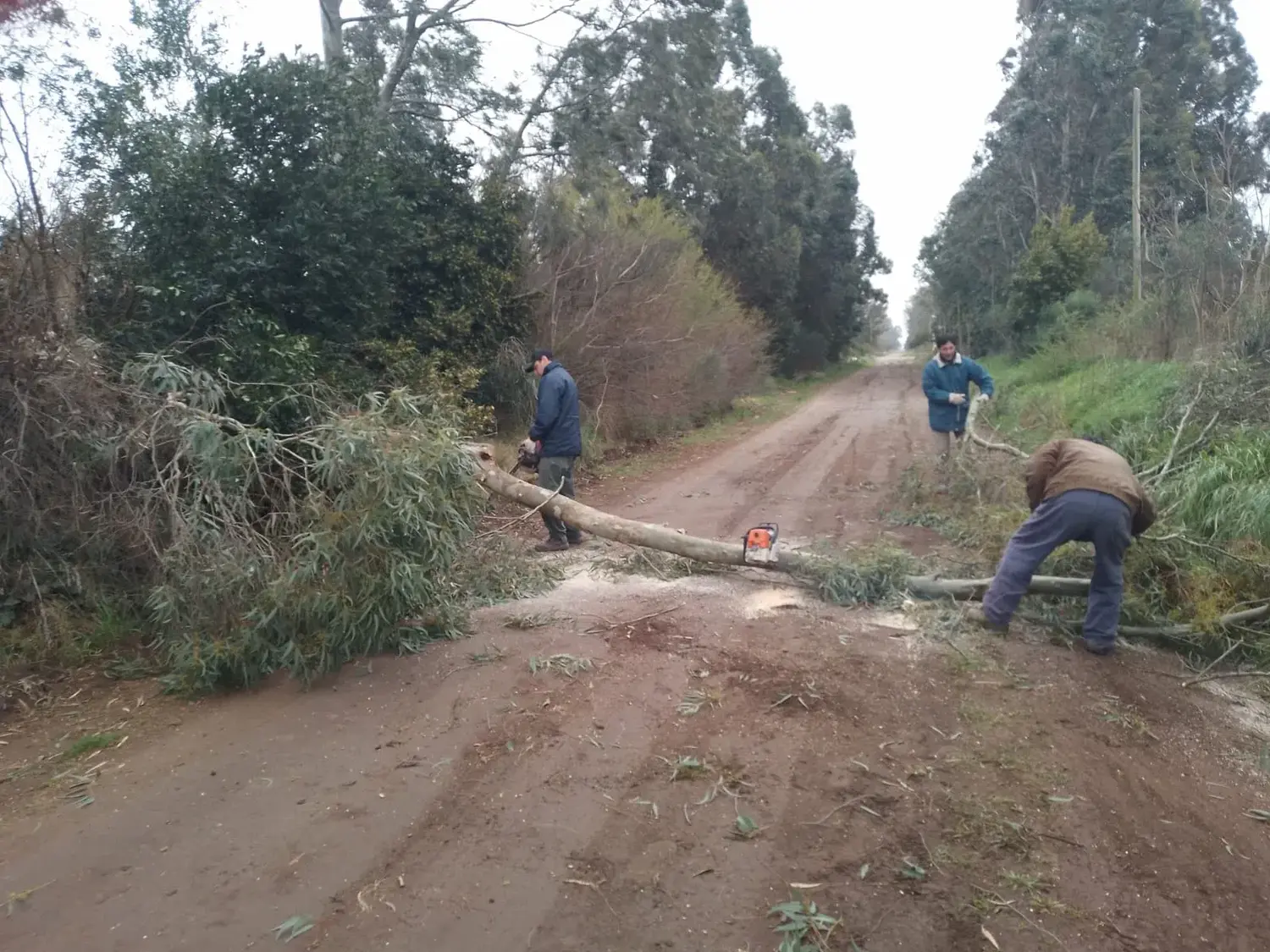 El temporal también causó daños en Orense y el Balneario