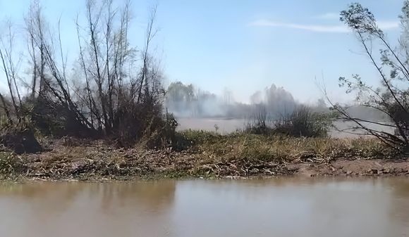 Quema en la zona de islas: advierten por incendio frente al Paseo Público