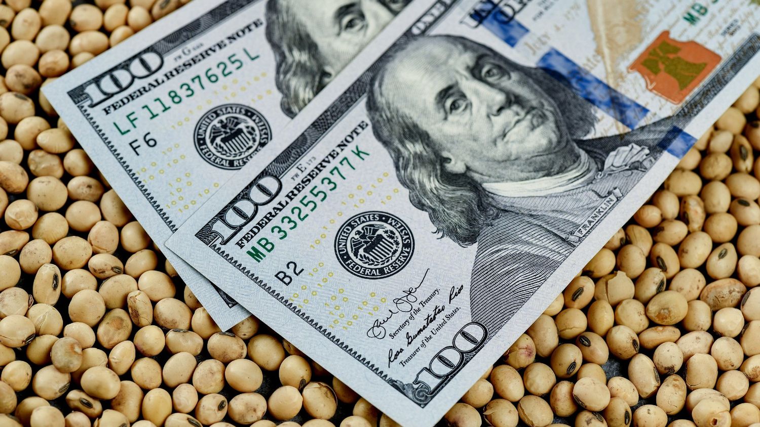 Empieza a regir el "dólar agro": El tipo de cambio diferencial pasa de $211 a $300 y el Gobierno espera reforzar reservas