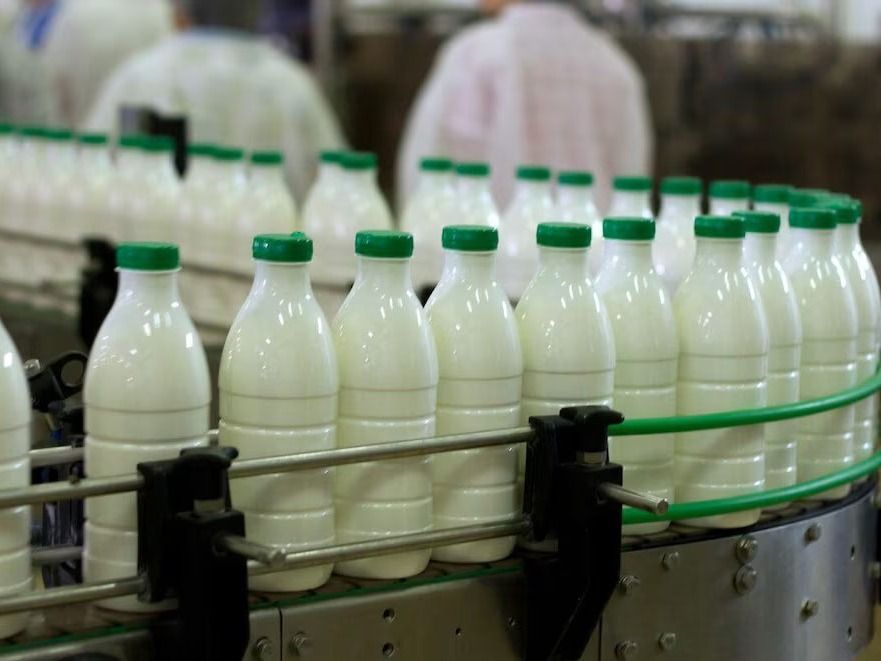 Con precios en dólares en niveles máximos, el sector lácteo se recuperó y creció 11% en el último año