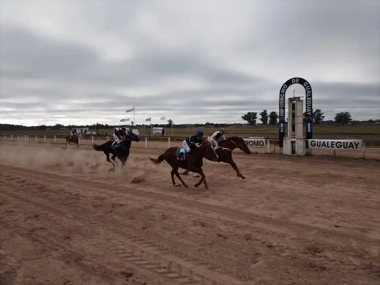 Turf: “El Negro Luis” brilló en el Gran Premio 25 de Mayo