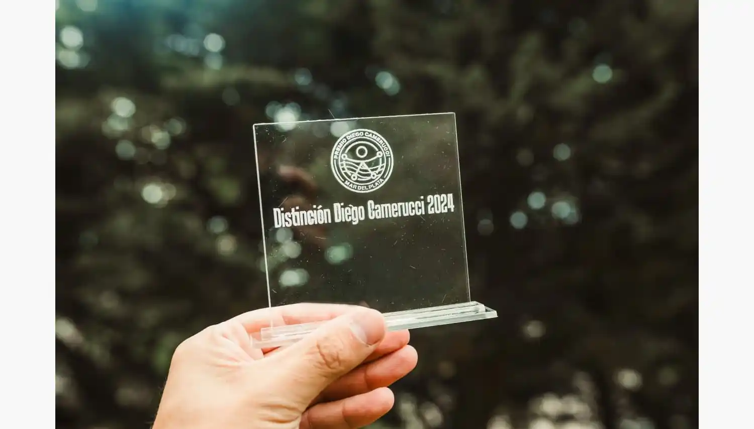 Los galardonados son seleccionados anualmente por un comité integrado especialmente para tal fin.