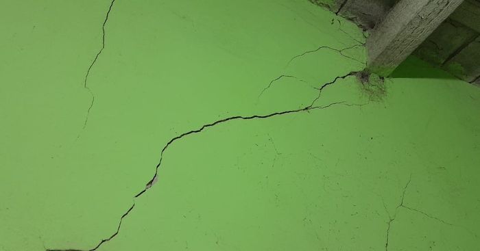 Detectaron 16 trabajadores no registrados y graves irregularidades en tambos - 2