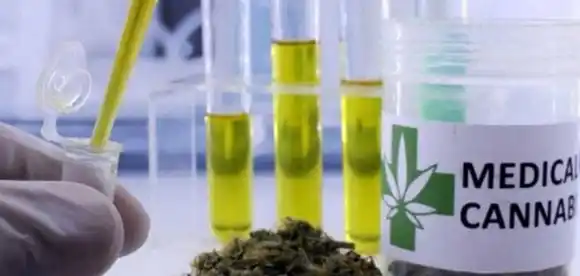 El 75,5% de  los usuarios  de cannabis medicinal  redujeron el consumo de fármacos