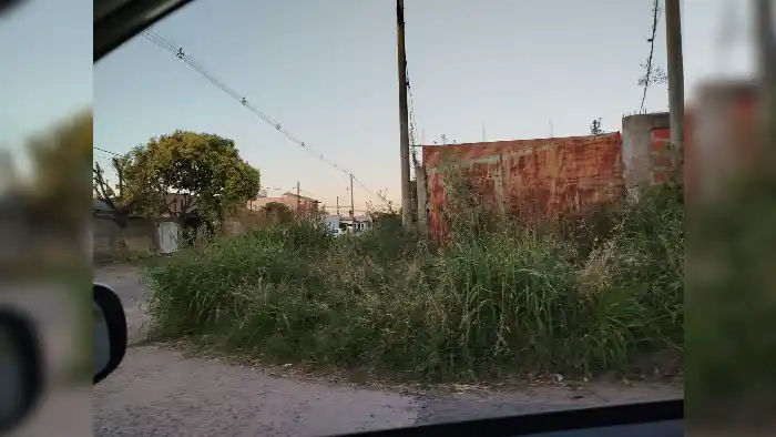 Pastos largos en Pueyrredón y Chivilcoy