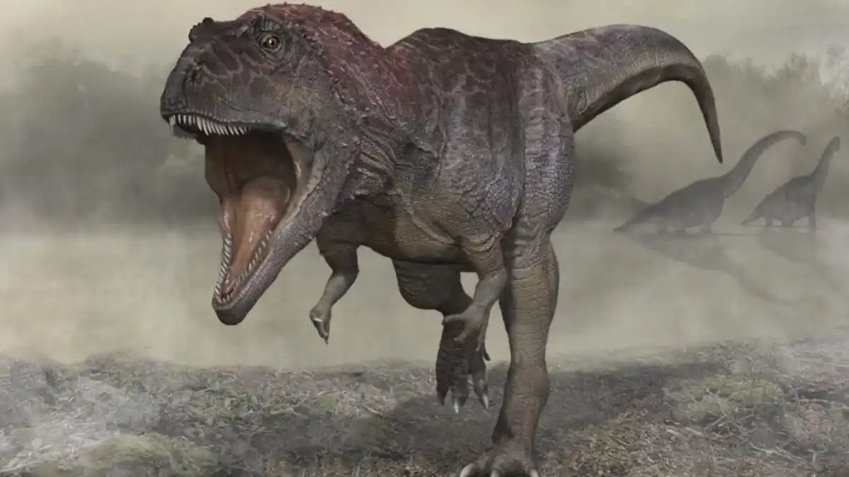 Hallan en Neuquén a uno de los dinosaurios carnívoros más grandes y mejor conservados del mundo