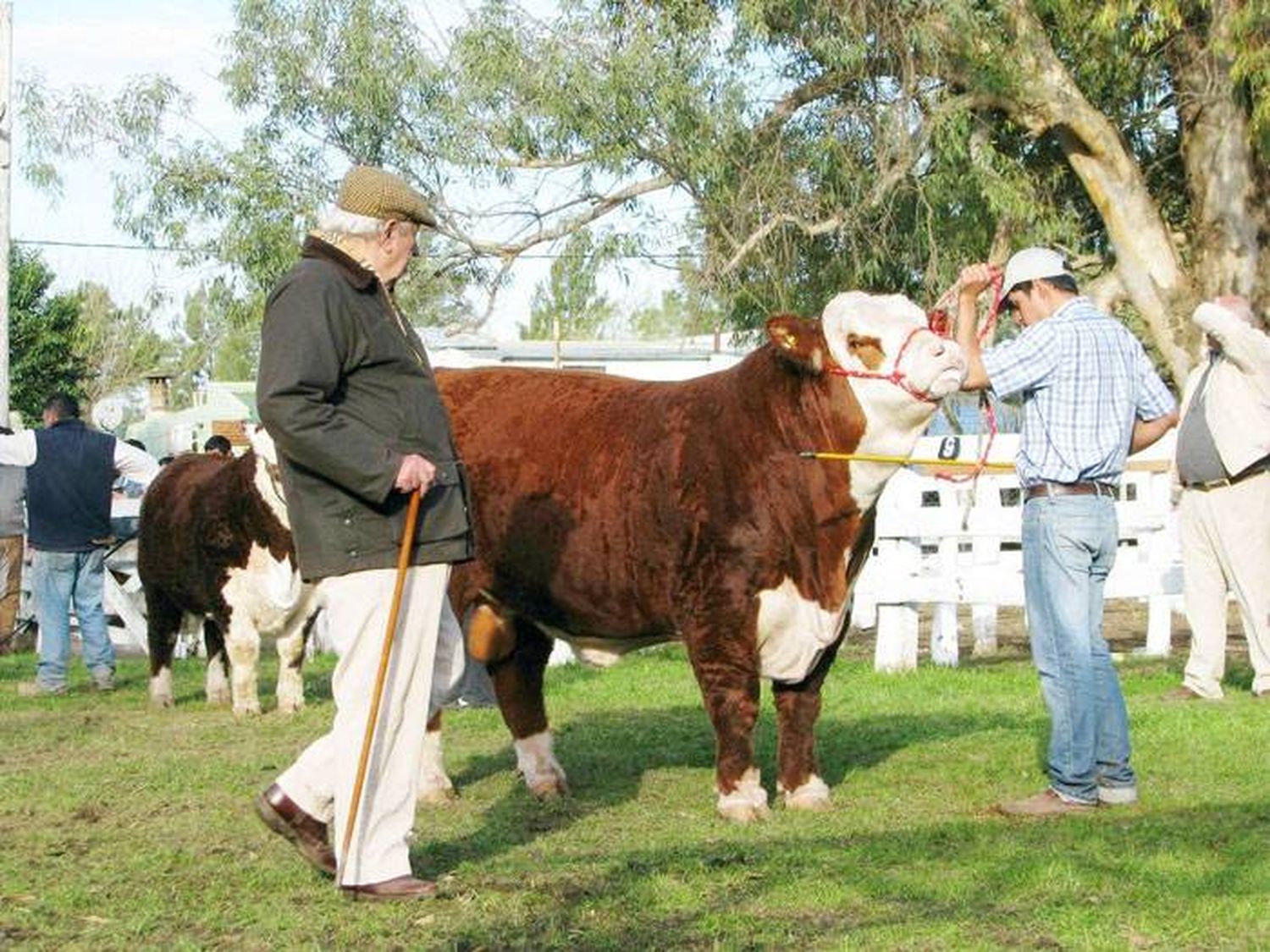 Villaguay abre el  calendario FARER de  exposiciones rurales