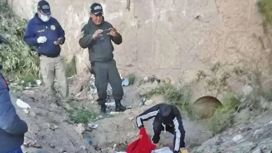 Una mujer asesinó a sus dos hijos "para vengarse" de su ex marido