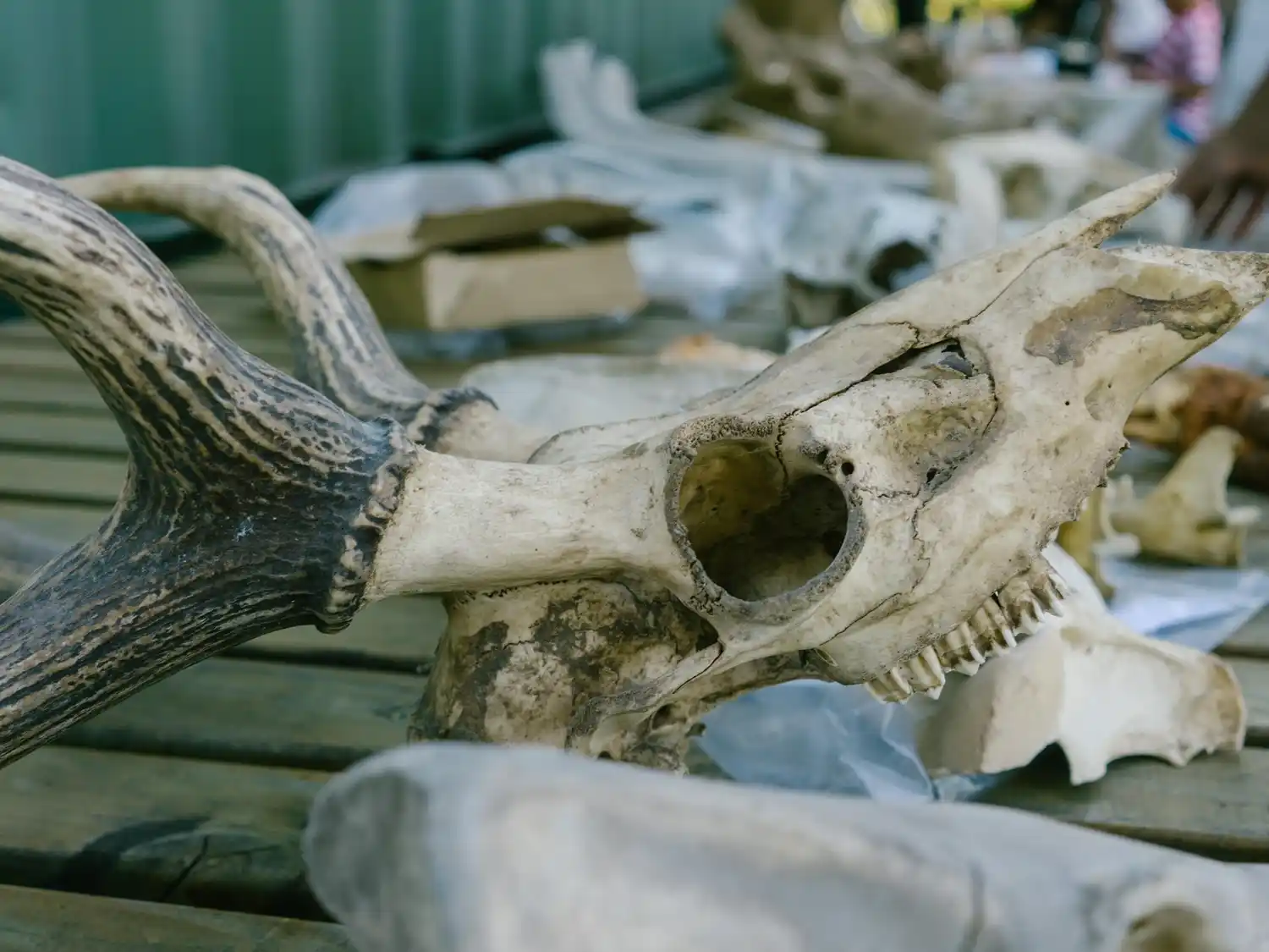 Invierno activo en Gualeguay: balance positivo y nuevas propuestas para el fin de semana