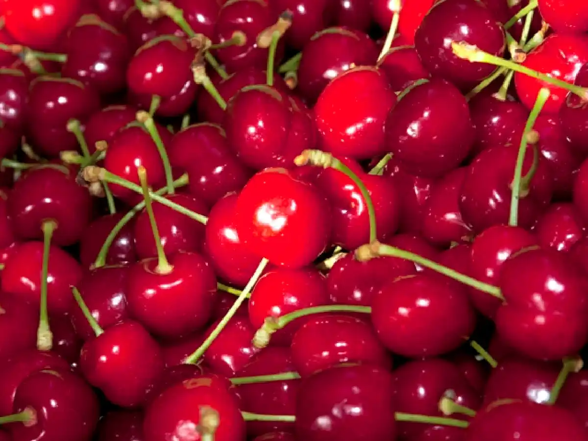 Uvas y cerezas argentinas, al mercado tailandés 