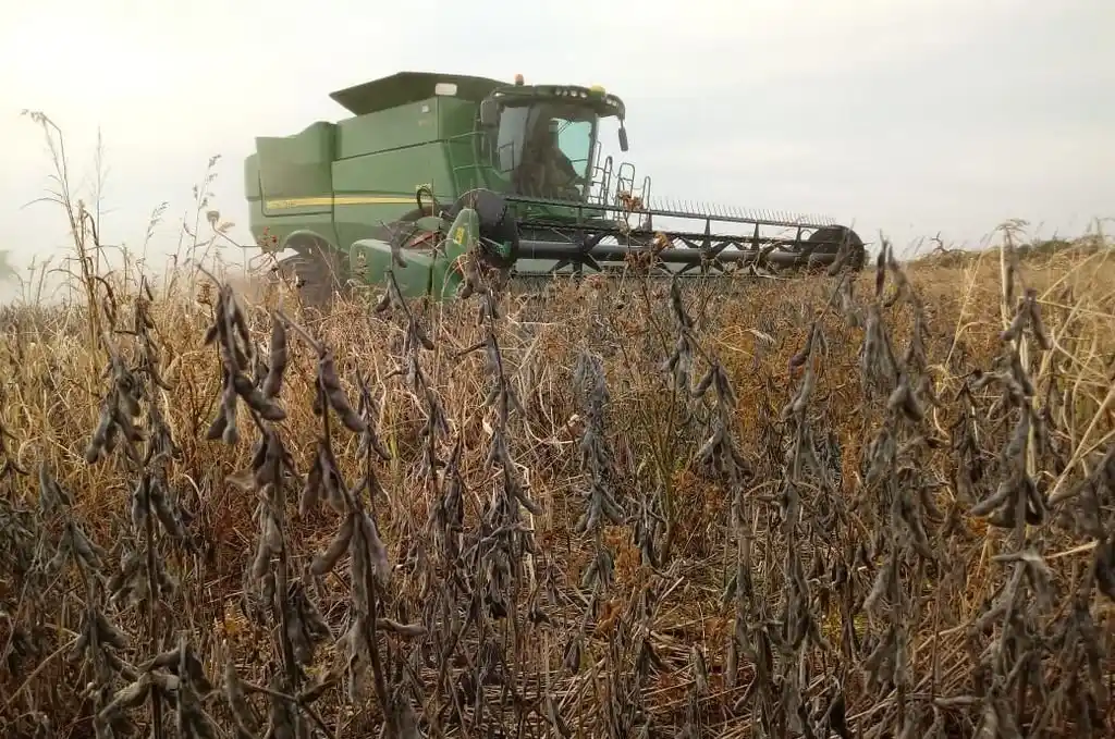 Soja: Santa Fe perdió 1,2 millones de hectáreas por la sequía