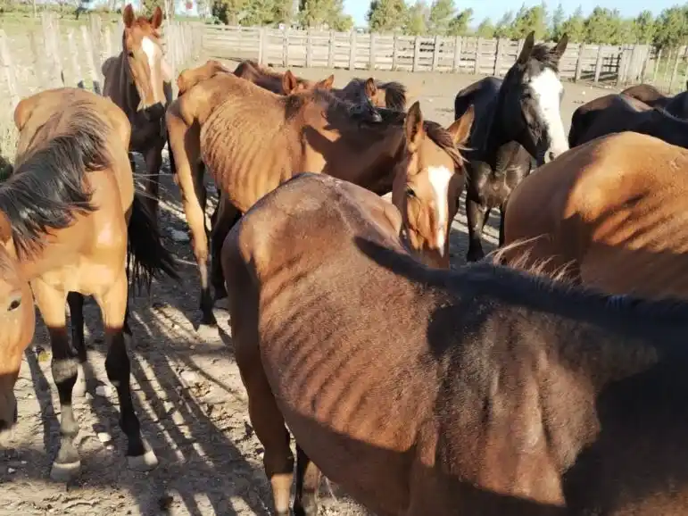 Fuente: Ministerio público