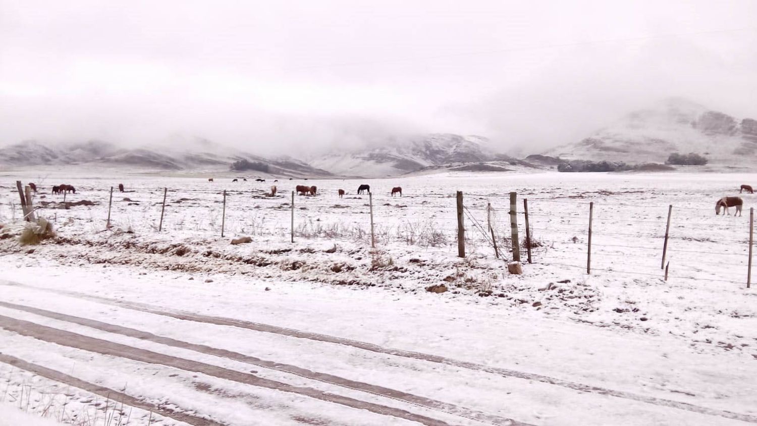 Nevó en Sierra de la Ventana y Pigüé