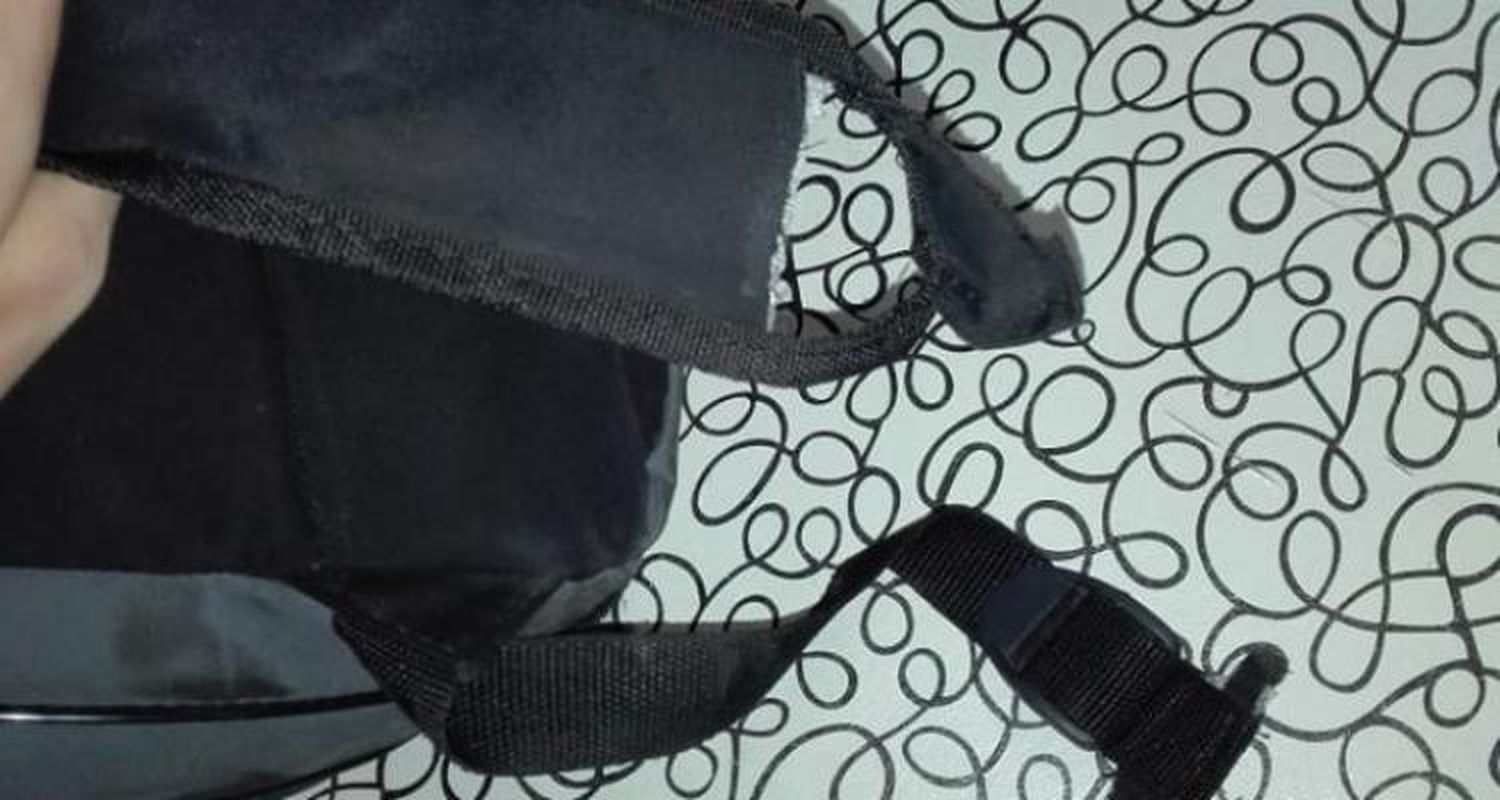 Le robó la mochila a una joven y lo corrió un “perro de la calle”