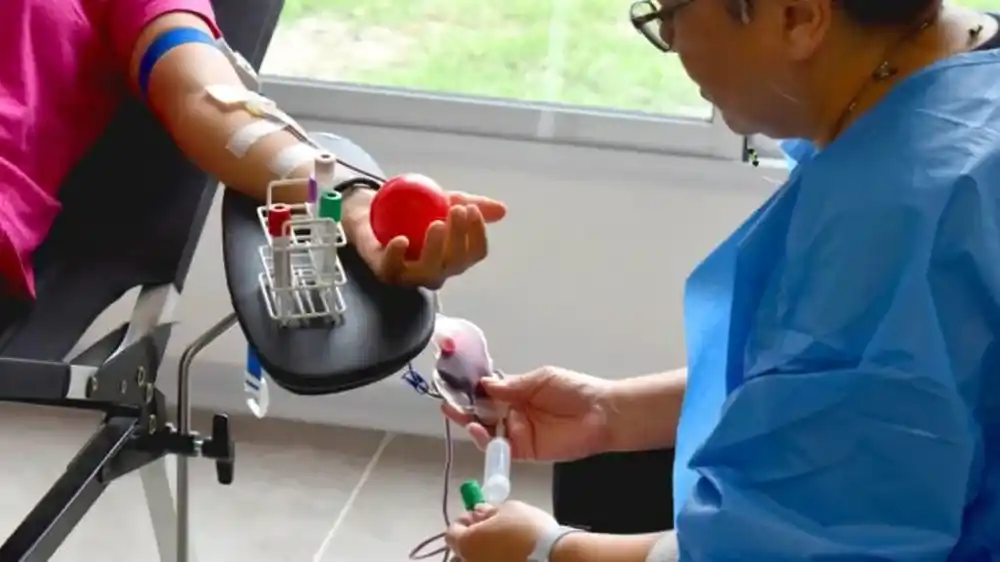 Donación