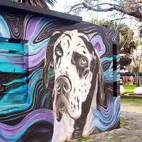 Arte callejero: los murales ganan protagonismo y aportan color