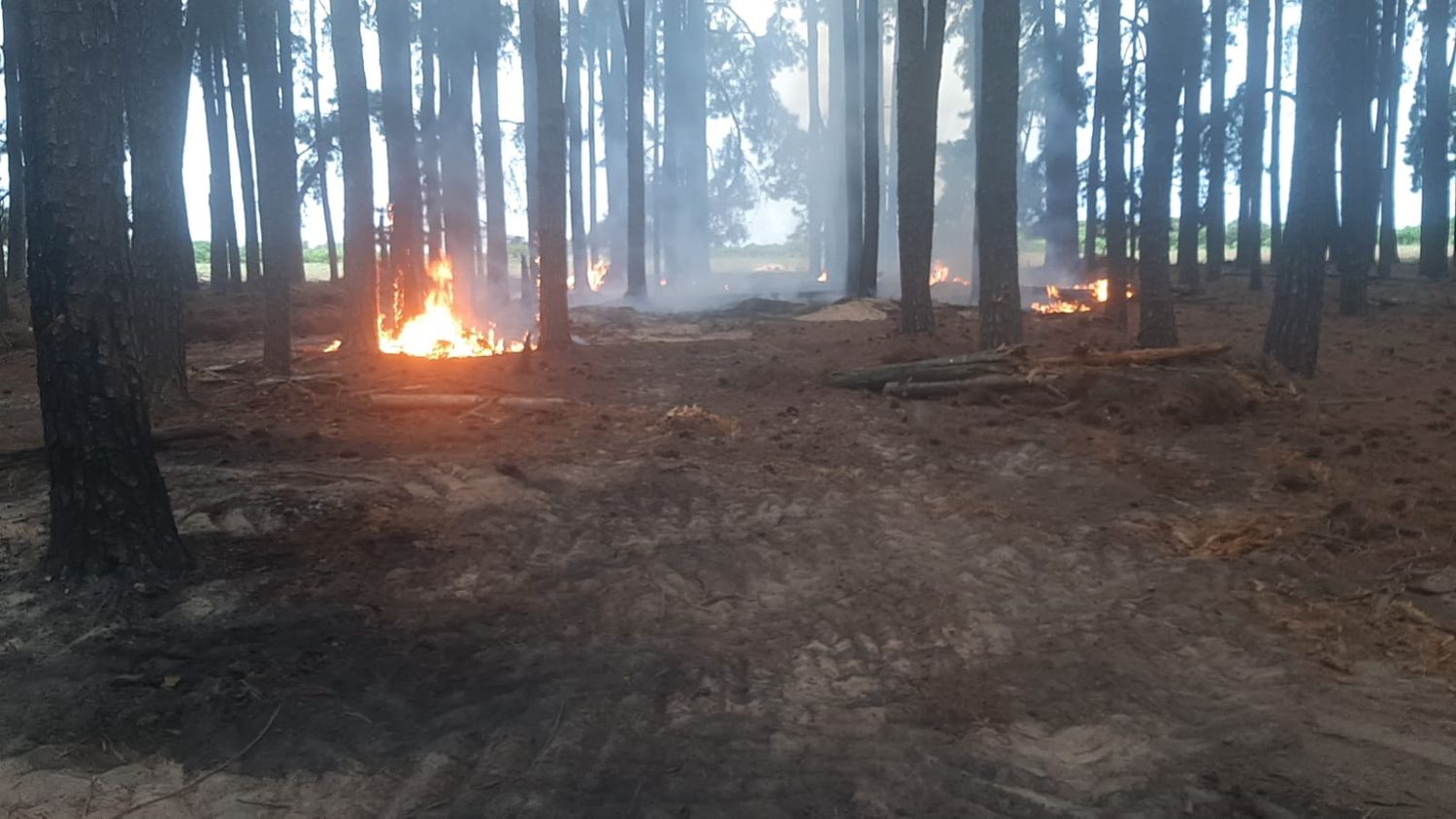 Incendio en Estancia La Pellegrina