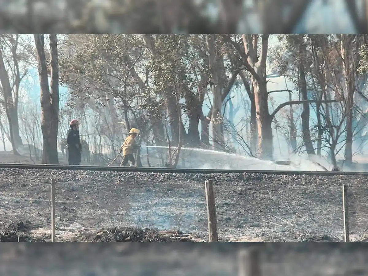  Siete dotaciones de bomberos combatieron incendio de campo a la vera de la ruta 19