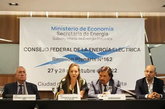 Royon y Sáenz encabezaron el encuentro del Consejo  Federal de Energía Eléctrica