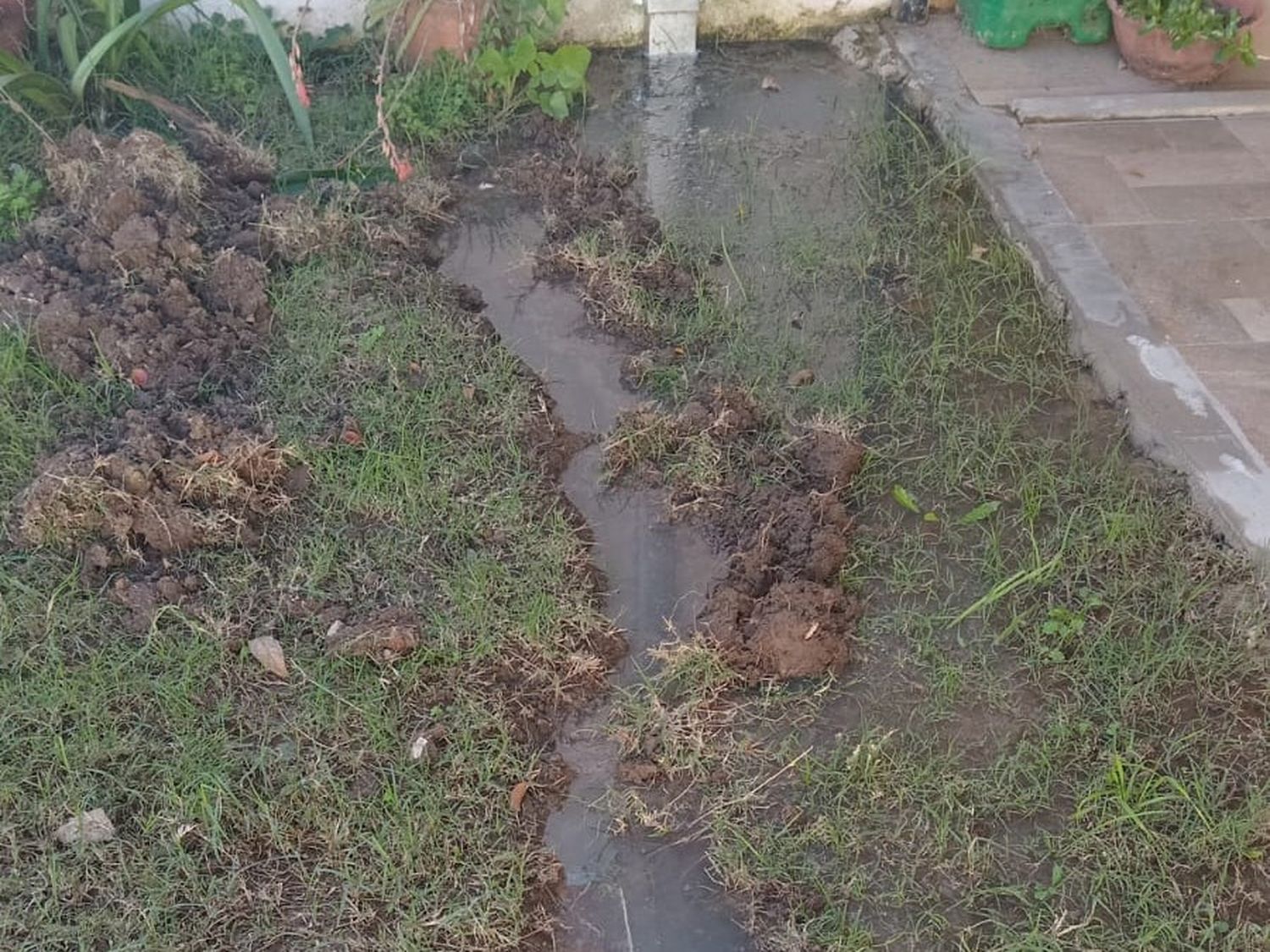 Cloacas tapadas en calle Las Provincias