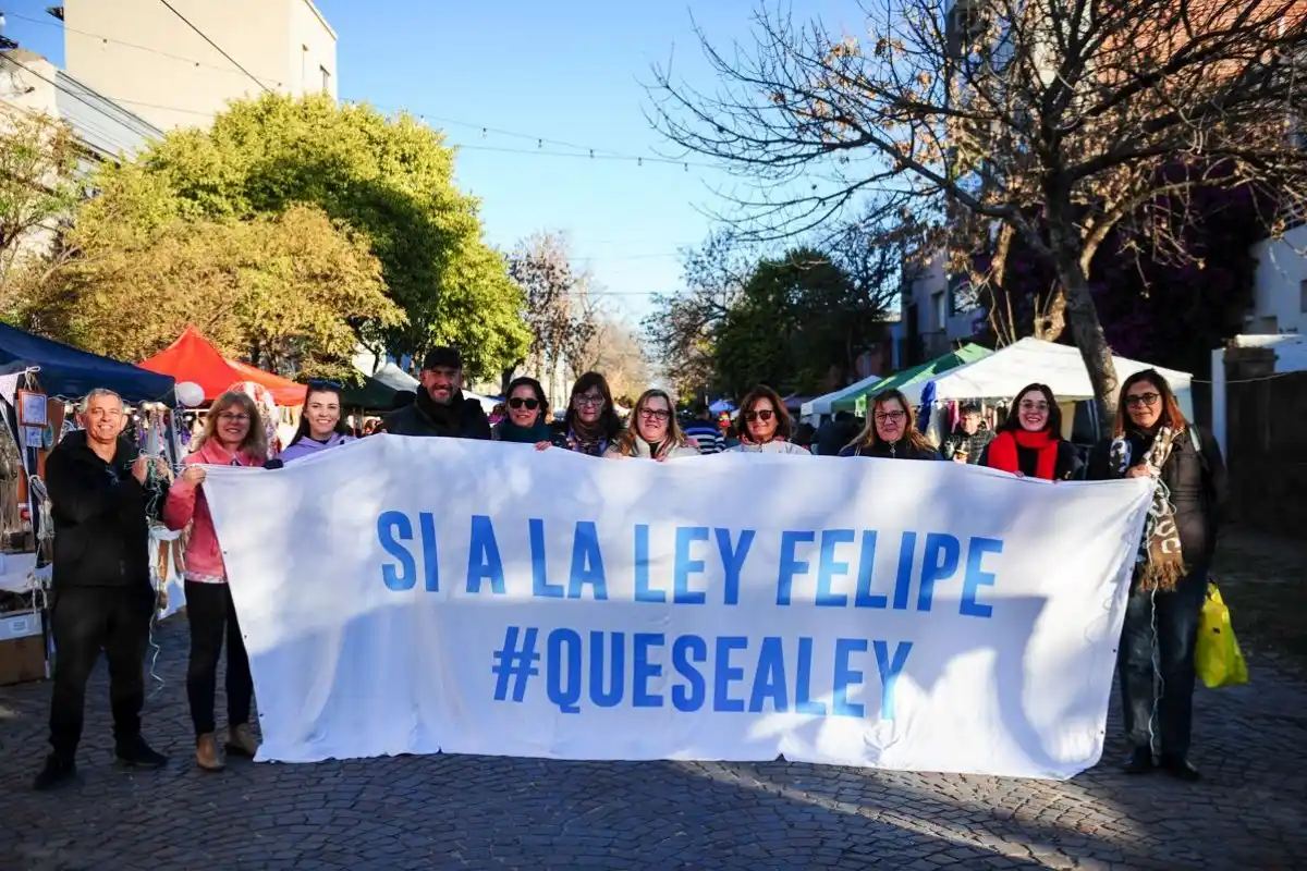 ¿En qué instancia se encuentra la Ley Felipe?